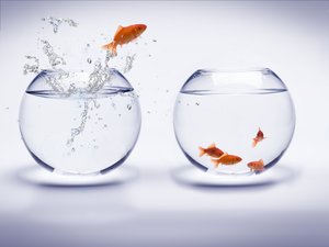 数字技术常见问题：病毒防护的有效方法